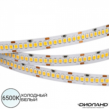 Светодиодная лента SMD 2835 / 240LED / 12V / 20W / IP20 / 6500K