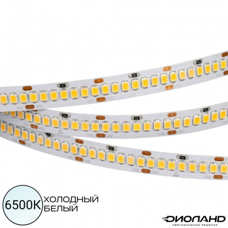 Светодиодная лента SMD 2835  240LED  12V  20W  IP20  6500K