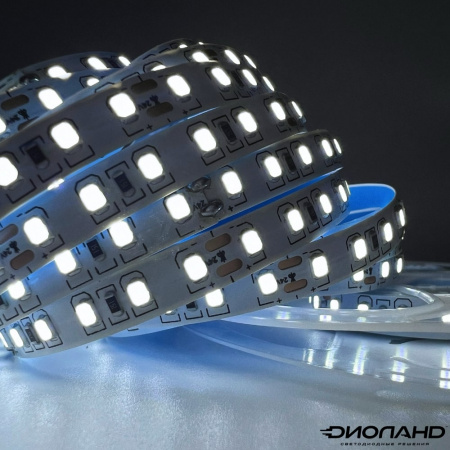 Светодиодная лента SMD 2835  120LED  24V  10W  IP20  6000K (2)