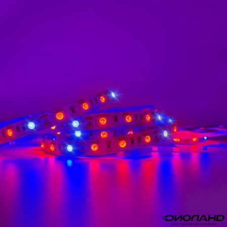 Светодиодная лента для растений 12V  14,4W красный+синий (1)