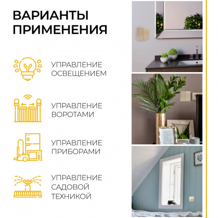 Выключатель дистанционного управления TM82 двухклавишный 500W (золото) (6)