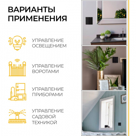 Выключатель дистанционного управления TM82 двухклавишный 500W (чёрный) (10)
