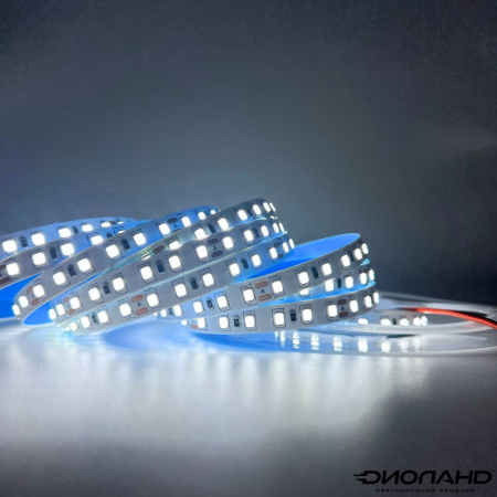 Светодиодная лента SMD 5050  60LED  24V  14.4W  IP20  6000K (1)