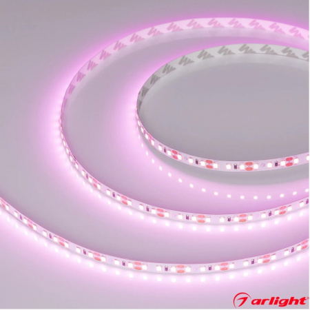 Светодиодная лента SMD 2835  120LED  12V  9,6W  IP20  розовый (1)