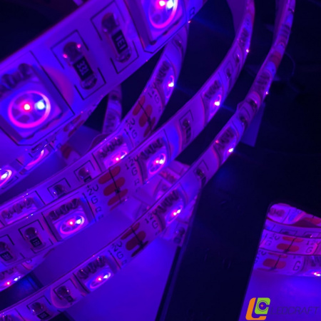 Светодиодная лента SMD 5050  60LED  12V  15W  IP65  RGB (3)