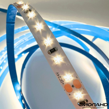 Светодиодная лента SMD 2835  120LED  24V  10W  IP20  4000K (4)