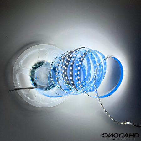 Светодиодная лента SMD 2835  120LED  24V  10W  IP20  6000K (3)