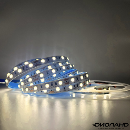 Светодиодная лента SMD 5050  60LED  12V  14.4W  IP20  4000K