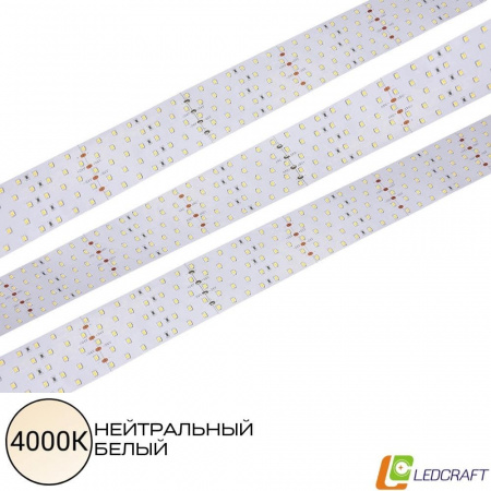 Светодиодная лента SMD 2835  350LED  24V  36W  IP33  4000K 5-ти рядная
