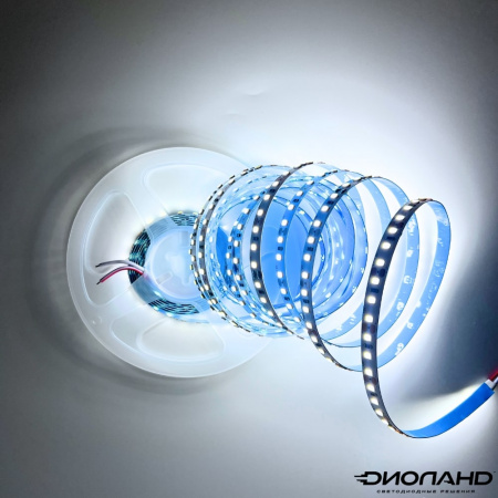 Светодиодная лента SMD 2835  120LED  12V  10W  IP20  6000K (2)