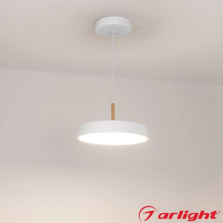 Подвесной светильник ELEGANT 17W (белый) (2)