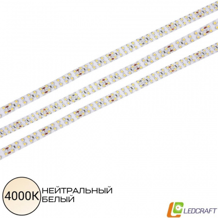 Светодиодная лента SMD 3528  240LED  24V  19,2W  IP33  4000K