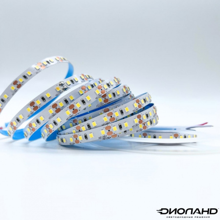 Светодиодная лента SMD 2835  120LED  12V  10W  IP20  6000K (4)