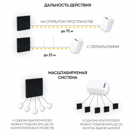 Выключатель дистанционного управления TM82 двухклавишный 500W (чёрный) (13)