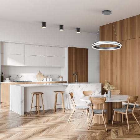 Подвесной светильник SHINNING RING 60W (серебро) (3)