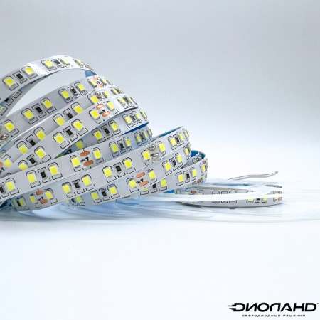 Светодиодная лента SMD 2835  120LED  24V  10W  IP20  6000K (4)