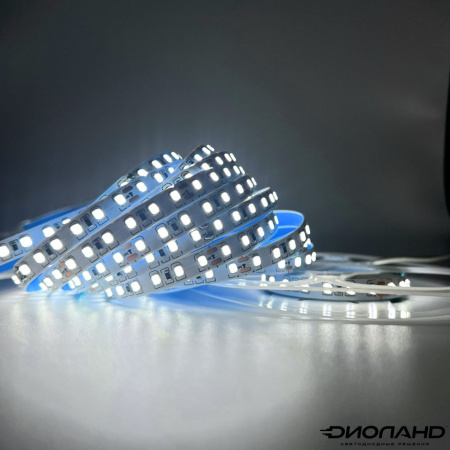 Светодиодная лента SMD 2835  120LED  24V  10W  IP20  6000K (1)