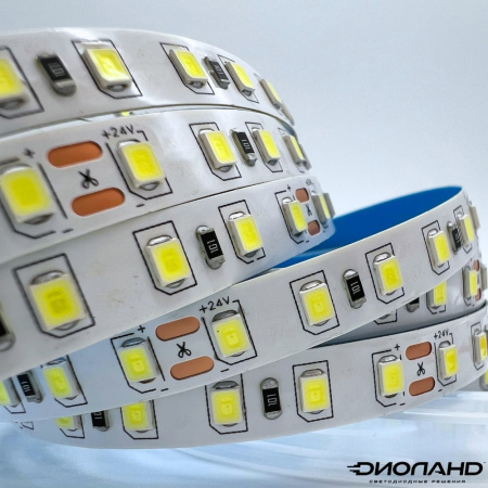Светодиодная лента SMD 2835  120LED  24V  12W  IP20  6000K (6)