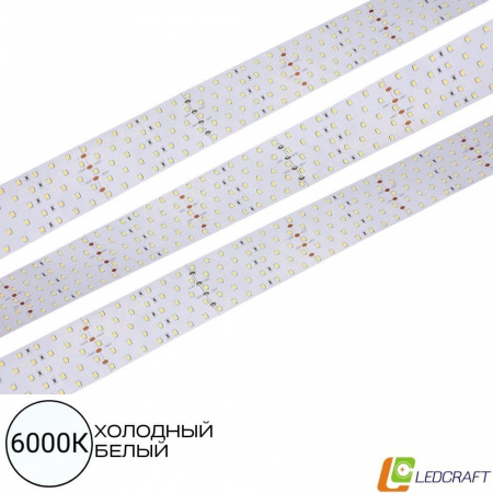 Светодиодная лента SMD 2835  350LED  24V  36W  IP33  6000K 5-ти рядная