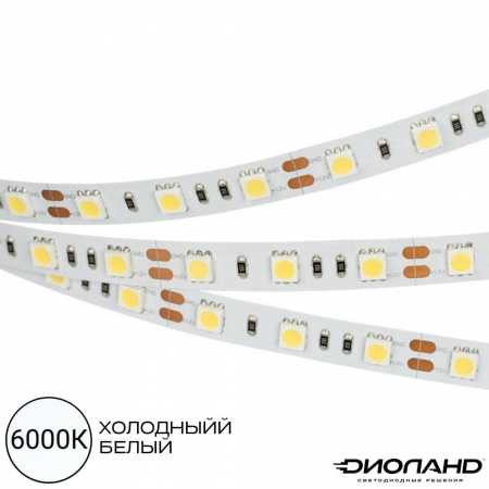 Светодиодная лента SMD 5050  60LED  12V  14.4W  IP20  6000K